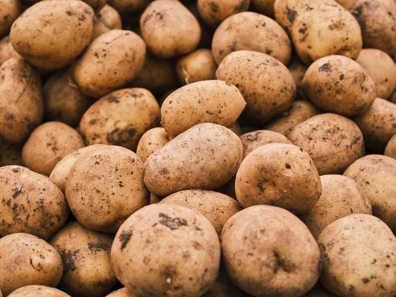 Halvetic i jego zastosowanie na ziemniaki